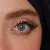 لنز های رنگی سالانه هرا